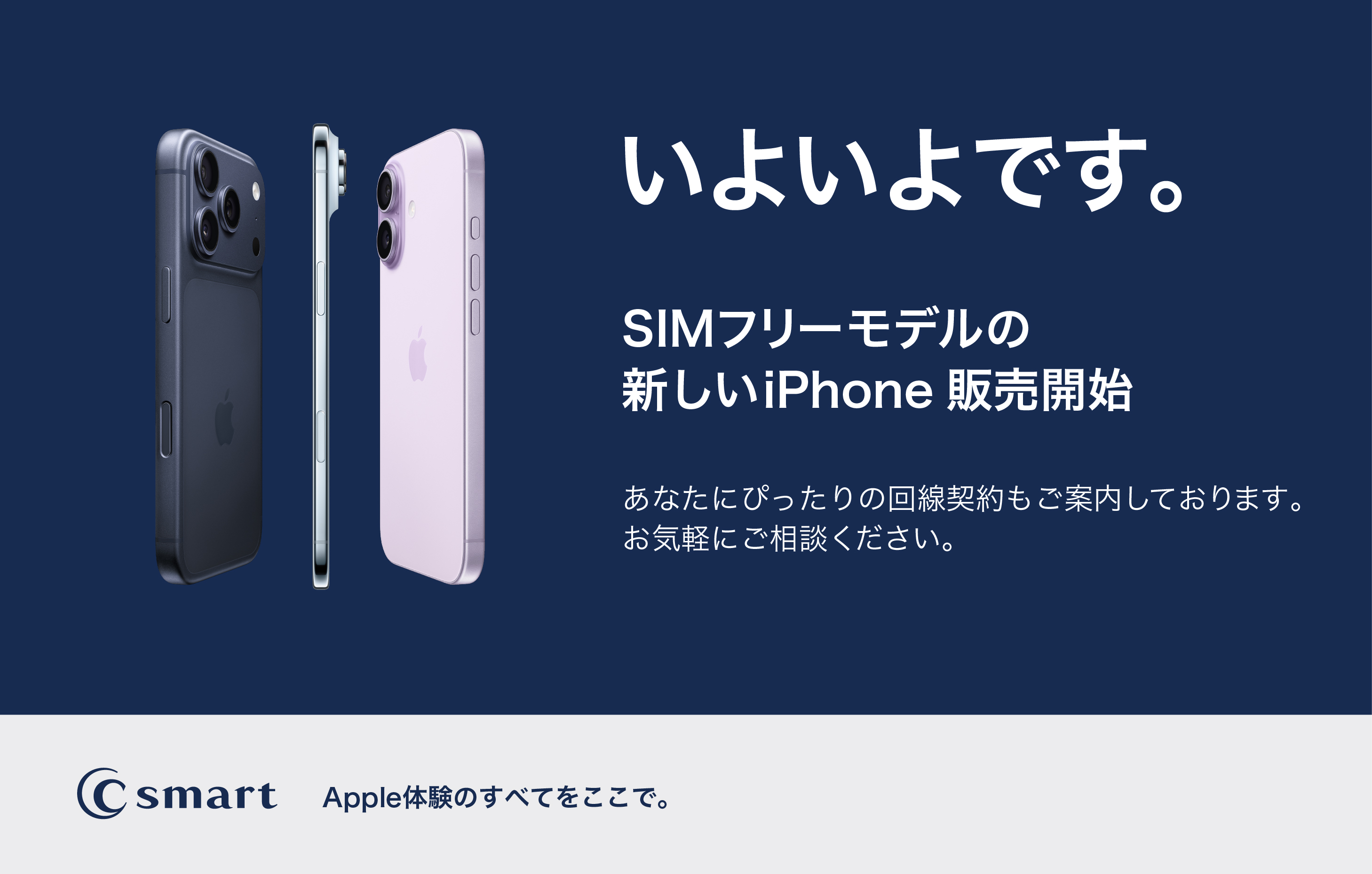 新製品が発売開始!