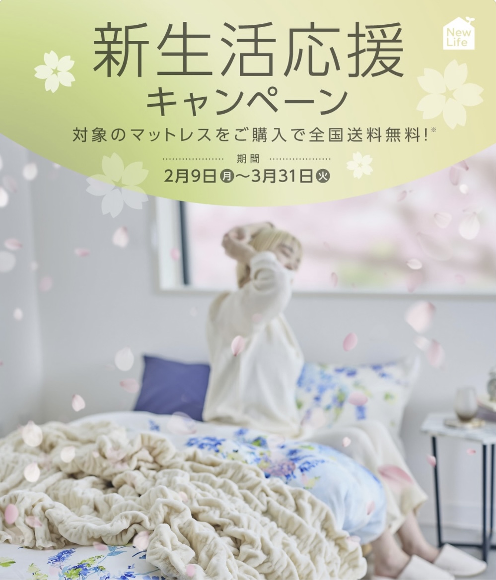 お得に新生活スタート|今だけ送料無料!