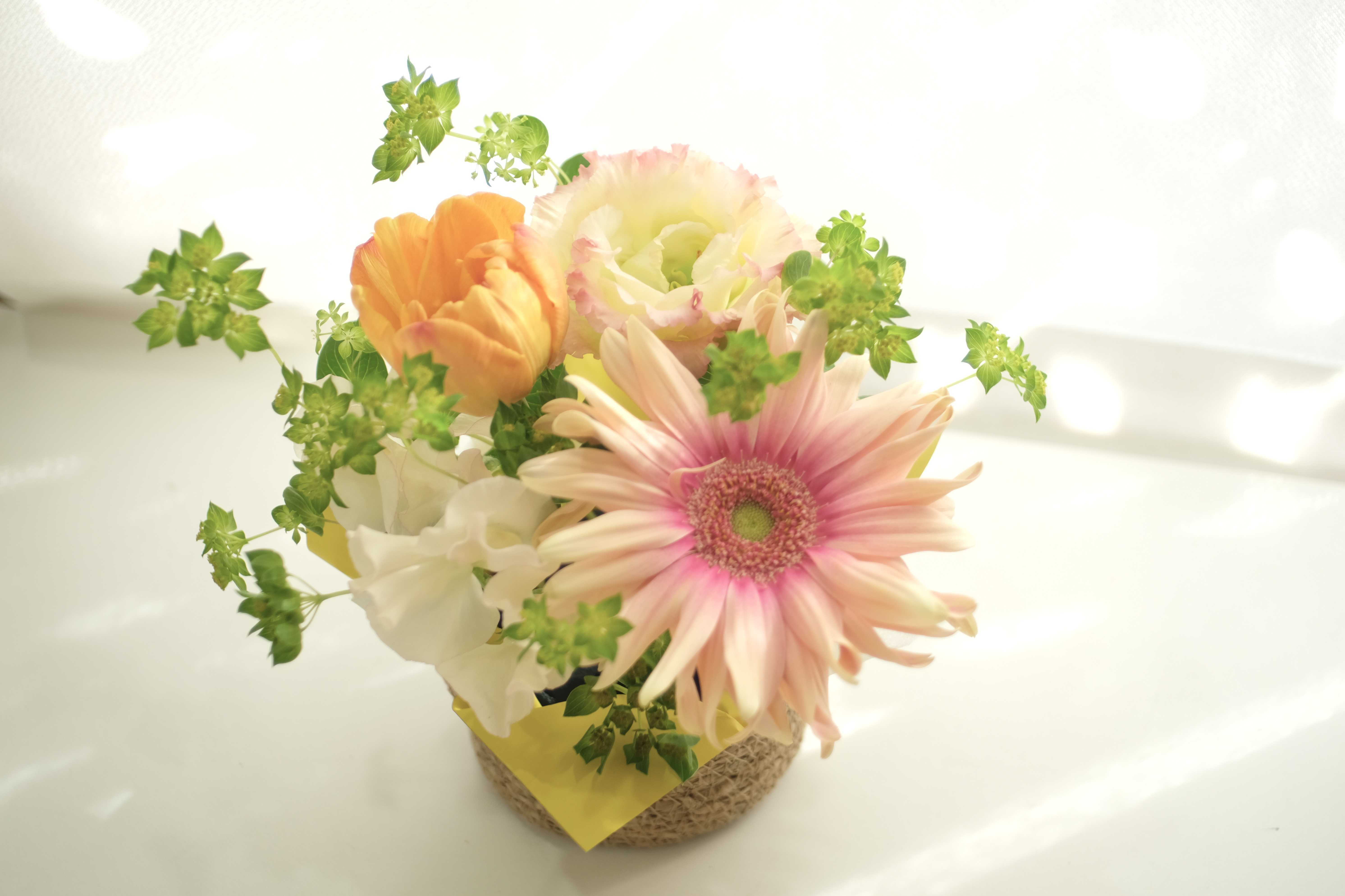 【キッズモールチャレンジはる】ちいさなお花屋さん 春の花かごアレンジ(fureru.)